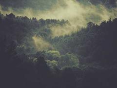 推币机金币特效